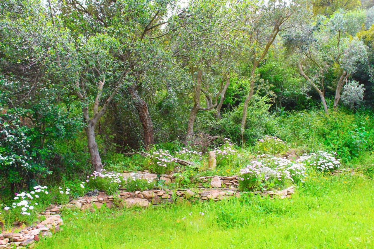 Agriturismo Sogno Latino Iglesias Exteriör bild